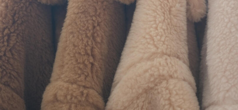 Close-up of plush alpaca-wool teddy fur in camel tones